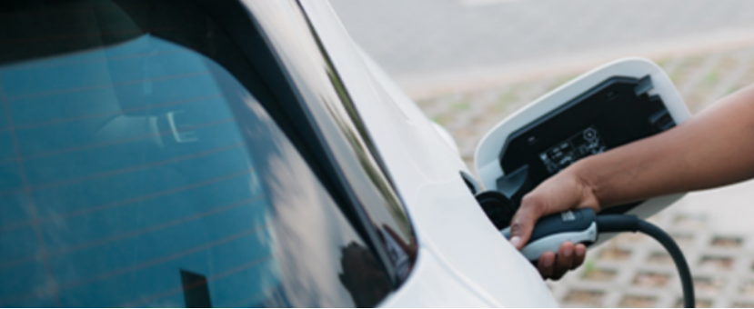 加拿大8月零排放汽车市场份额达补贴取消后最高水平