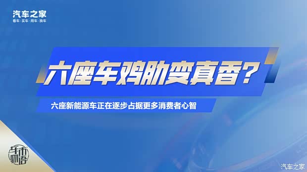 泊车辅助几近100%标配,六座车市场这就卷起来了